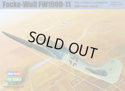 画像1: ホビーボス 1/48 フォッケウルフFw190D-11【プラモデル】 