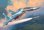 画像1: ズベズダ 1/72 スホーイ SU-27UB "フランカー C"複座練習戦闘機【プラモデル】  (1)