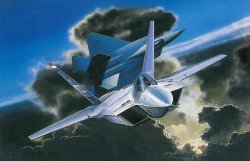 画像1: ドラゴン 1/72 アメリカ空軍試作ステルス戦闘機 YF-22 ライトニングII【プラモデル】