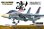 画像1: 童友社 1/72 アメリカ海軍 F-14Aトムキャット"VF-143プーキンドッグズ"【プラモデル】  (1)