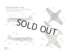 画像3: ミニウィング 1/144 ホーカーシーホークFGA.6 2イン1【プラモデル】 