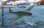 画像1: ボーダーモデル 1/35 九七式艦上攻撃機 w/フルインテリア【プラモデル】  (1)