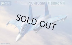 画像1: キティホークモデル 1/48 Su-30SM フランカーH【プラモデル】