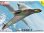 画像1: AZモデル 1/72 ゴータ P.60C-1 ルフトバッフェ 1946年 by AZ モデル【プラモデル】   (1)