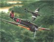 画像1: スペシャルホビー 1/72 日・中島一式戦闘機三型「隼」Ki-43-III【プラモデル】