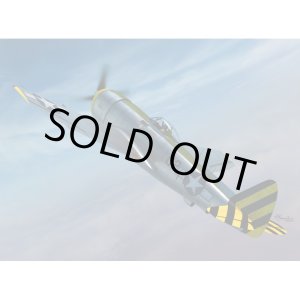 画像: スウォード 1/72 P-47Nサンダーボルト"2 in 1"【プラモデル】 