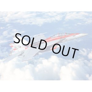 画像: イタレリ 1/48 F/A-18F スーパーホーネット 米海軍特別塗装【プラモデル】