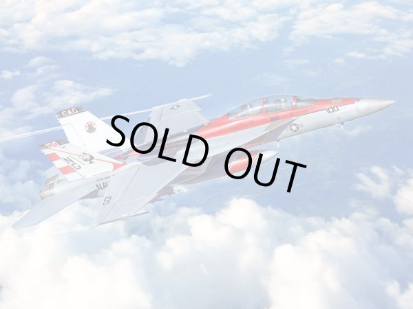 画像1: イタレリ 1/48 F/A-18F スーパーホーネット 米海軍特別塗装【プラモデル】