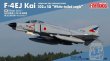 画像1: ファインモールド 1/72 航空自衛隊 F-4EJ改 戦闘機 第302飛行隊 “オジロワシ”【プラモデル】 