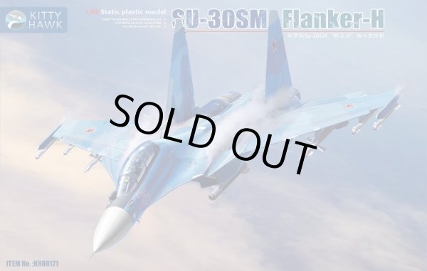 画像1: キティホークモデル 1/48 Su-30SM フランカーH【プラモデル】