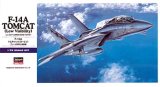 画像: ハセガワ 1/72 F-14Aトムキャット"ロービジ"  